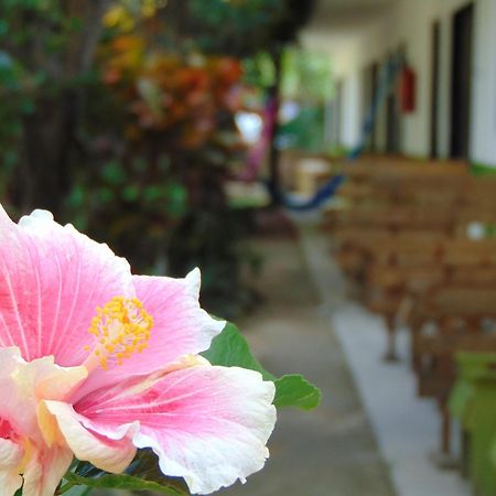 Bed and Breakfast Crucero Tulum Exterior foto
